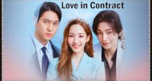 Love in Contract