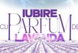 Iubire cu Parfum de Lavanda